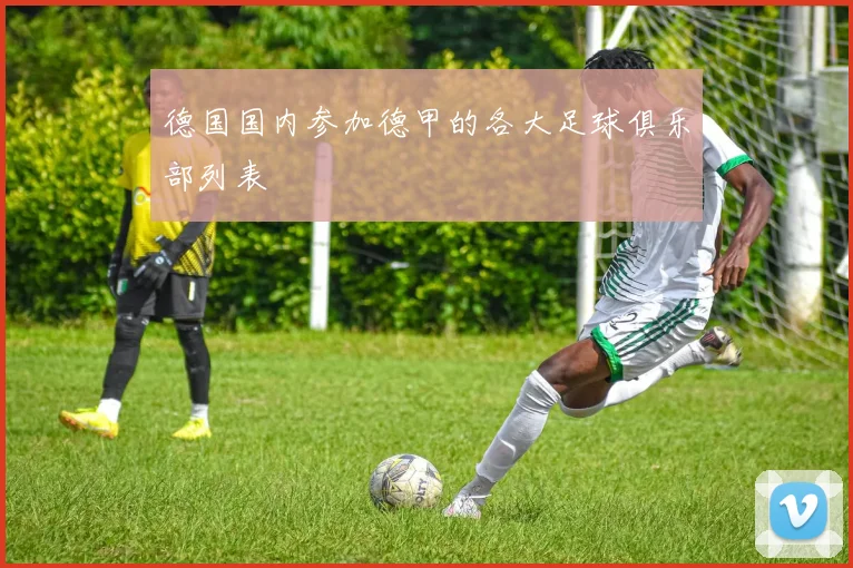 德国国内参加德甲的各大足球俱乐部列表