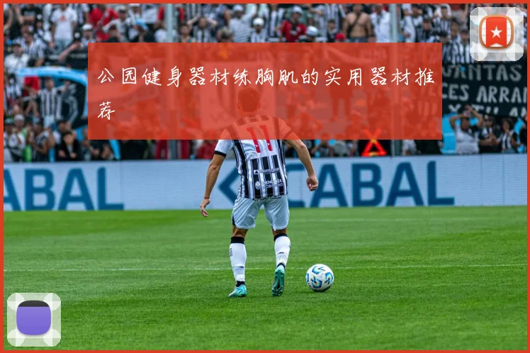 公园健身器材练胸肌的实用器材推荐