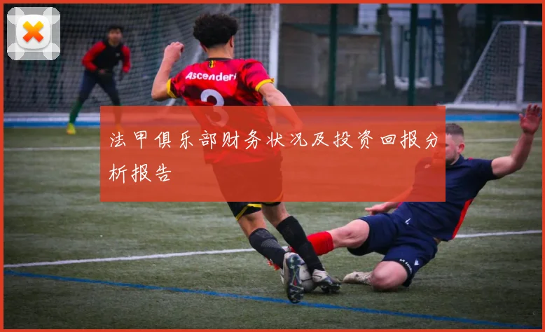 法甲俱乐部财务状况及投资回报分析报告