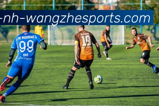 王者体育服务体系