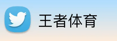 王者体育 Logo